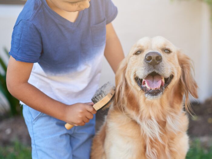 Cuidado de Mascotas